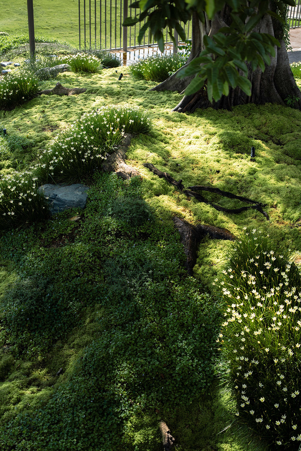 Manufacturing Industrial Park Landscape Design