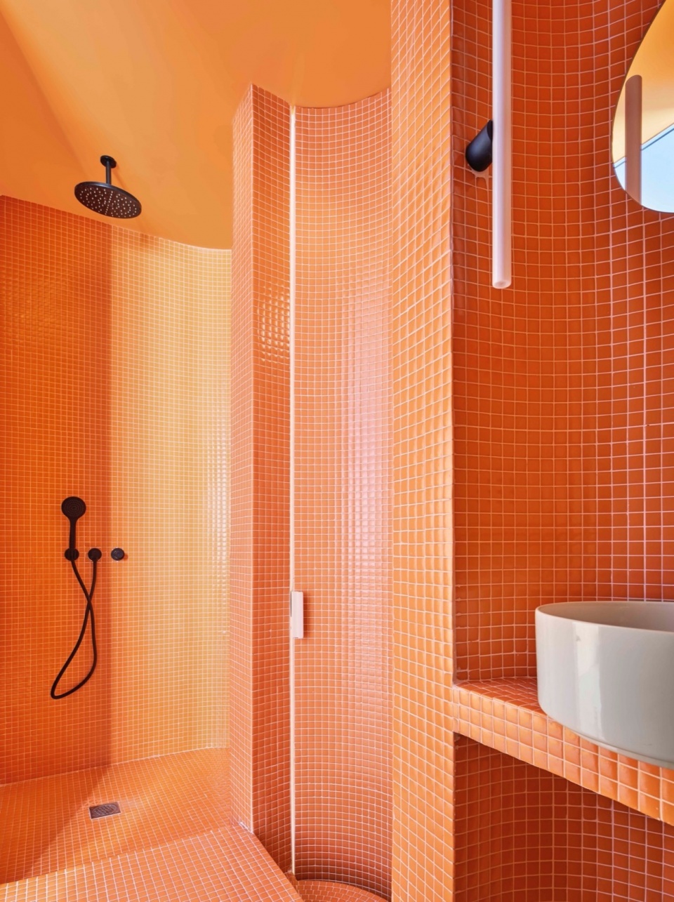 CASA NUBE Studio Animal
