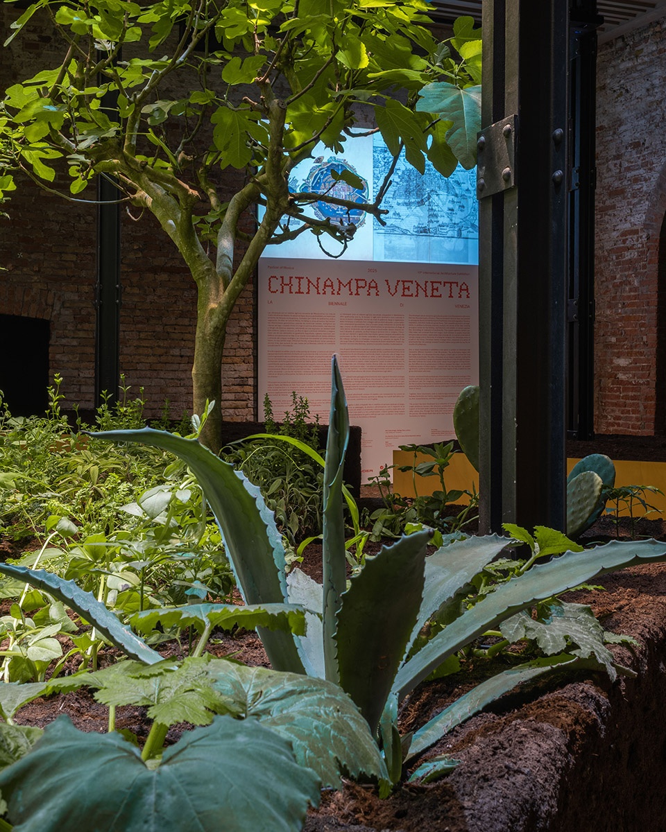 regenerative architecture chinampa veneta at the venice biennale by estudio ignacio urquiza y ana paula de alba