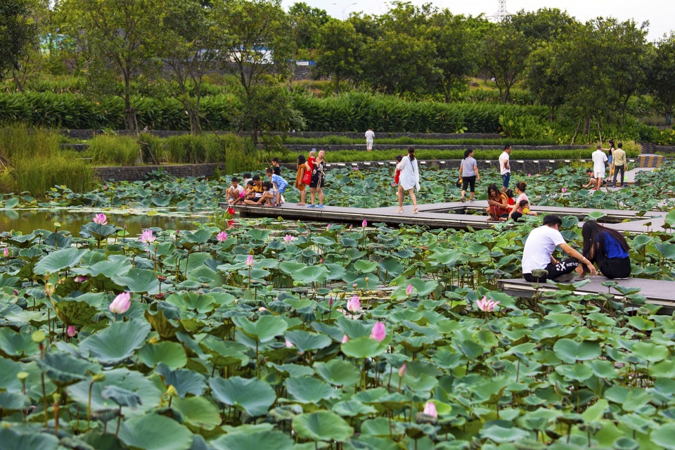meishe river greenway and fengxiang park haikou china by turenscape