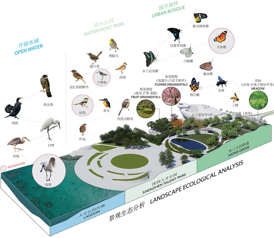 shenzhen bay cultural square by mad