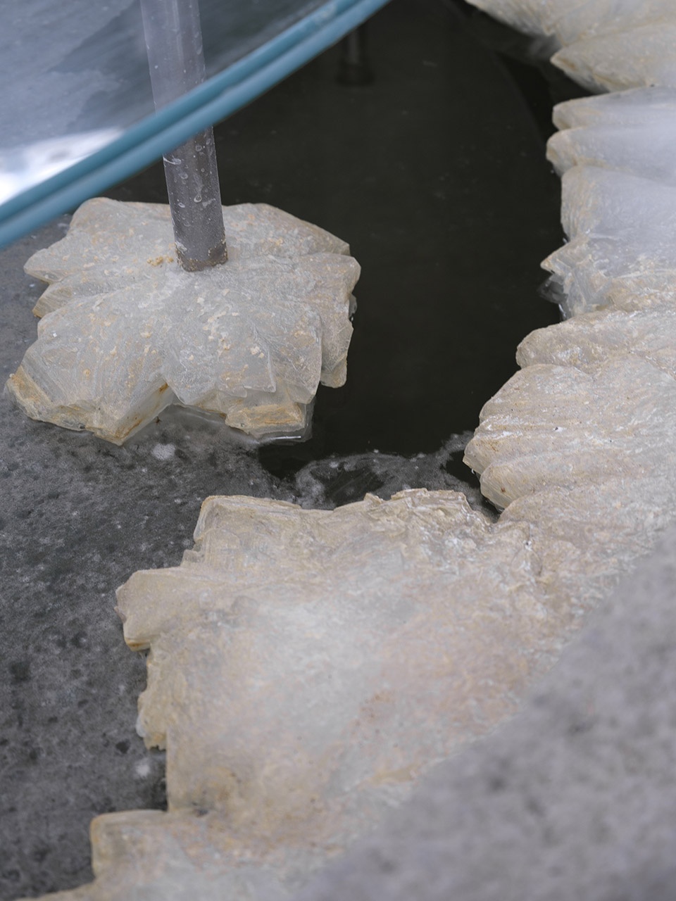 fushan alunite crystallization ponds by flip studio