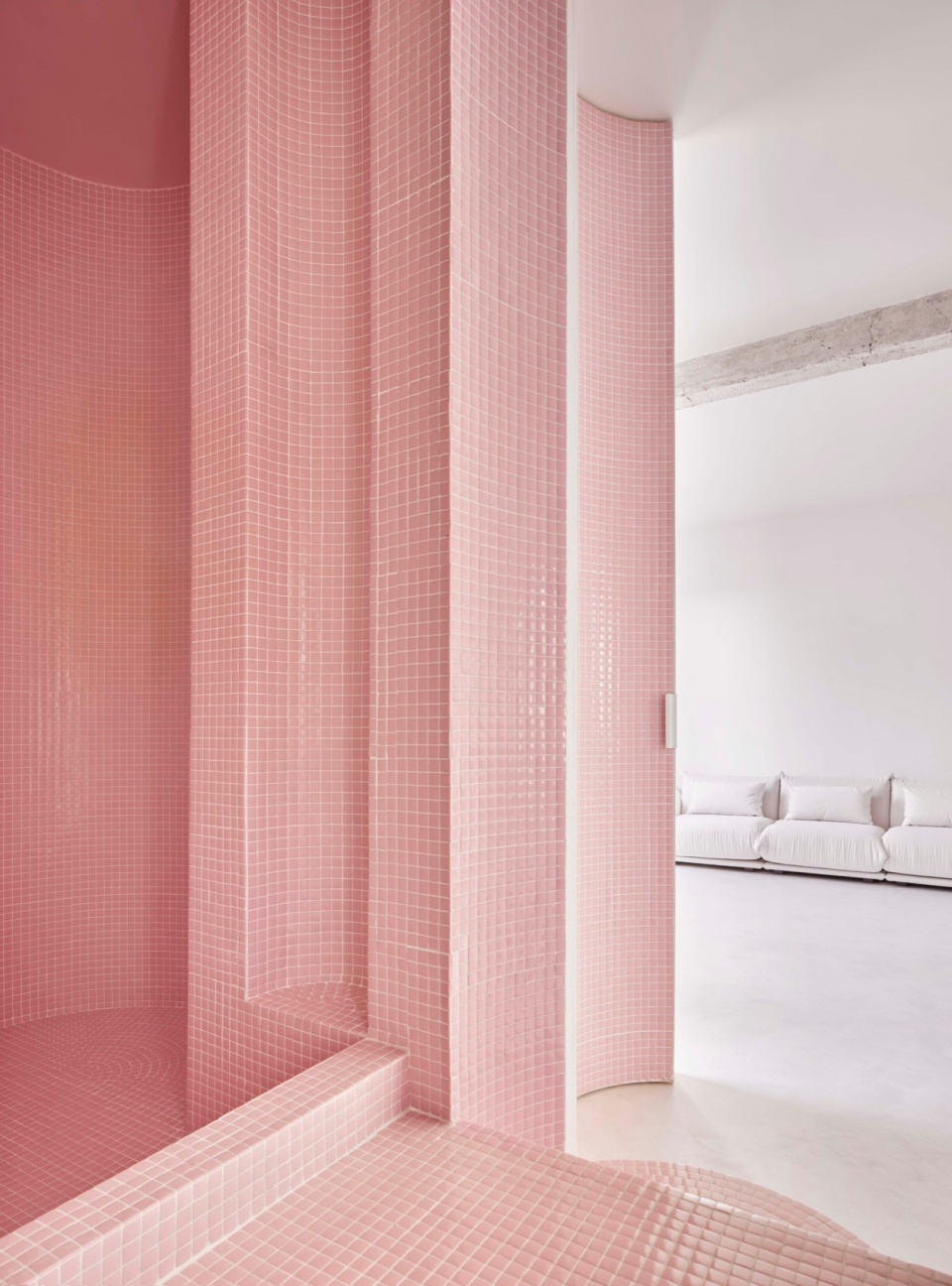 CASA NUBE Studio Animal