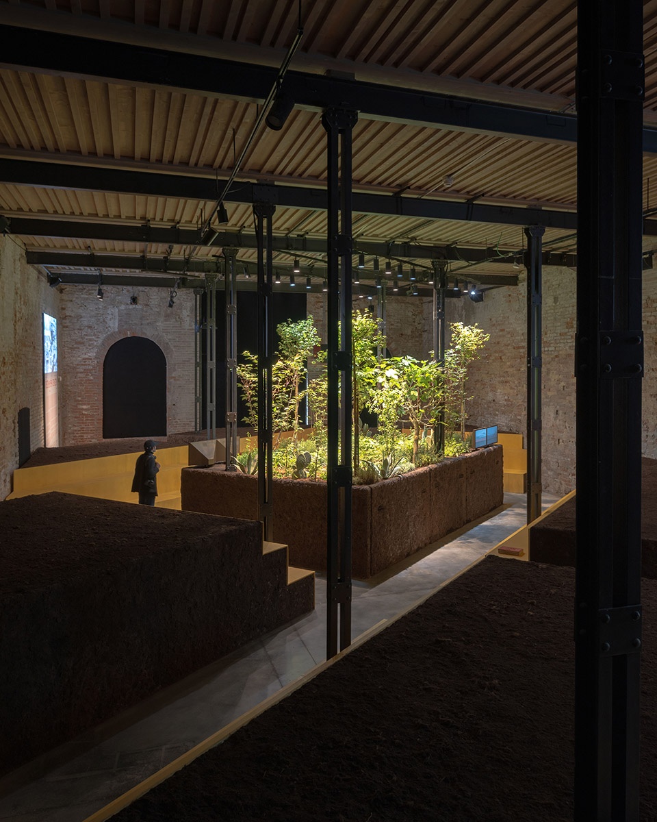 regenerative architecture chinampa veneta at the venice biennale by estudio ignacio urquiza y ana paula de alba