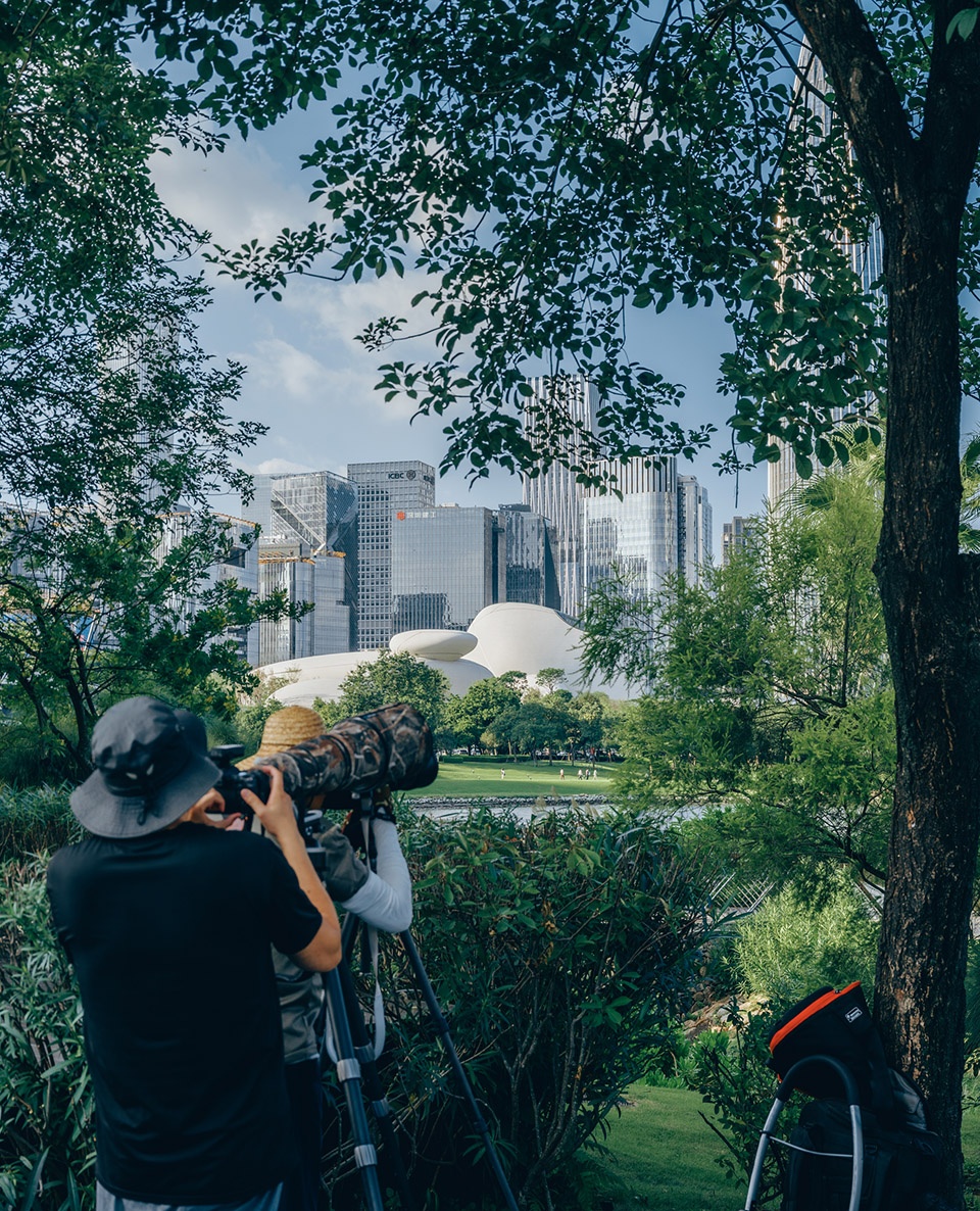 shenzhen bay cultural square by mad