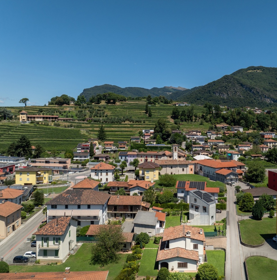 SWISSHOUSE XL in Coldrerio Davide Macullo Architects
