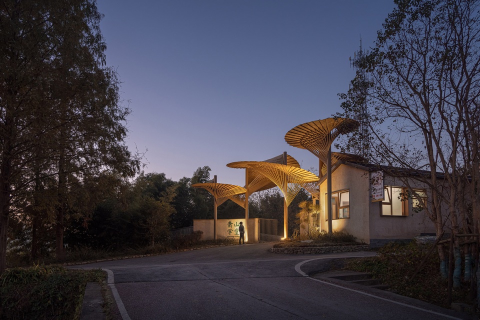 qingshan school by momentum