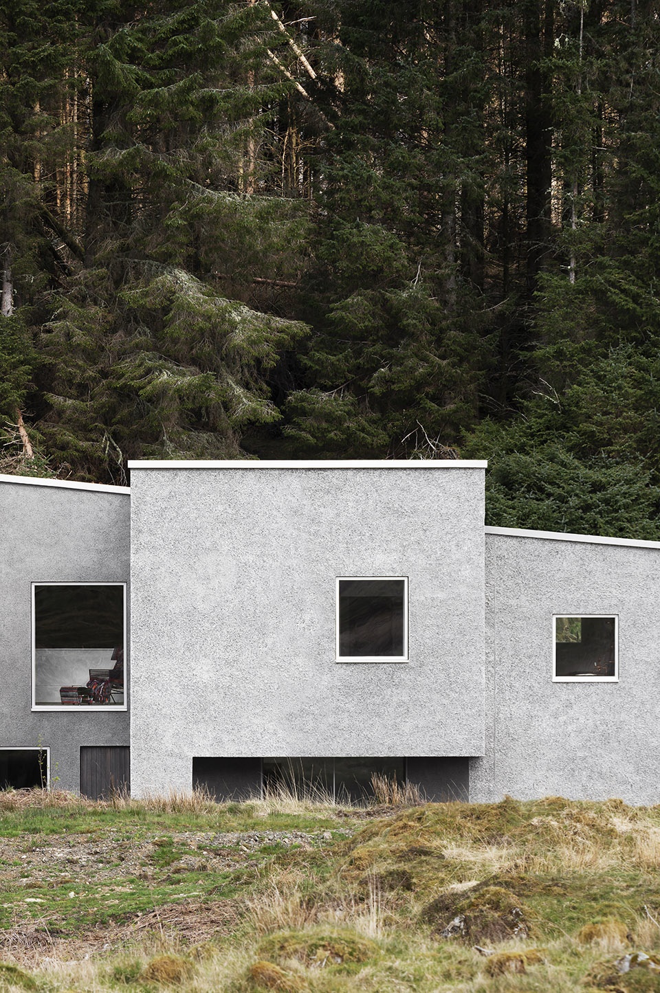 HUNDRED ACRE WOOD by Denizen Works