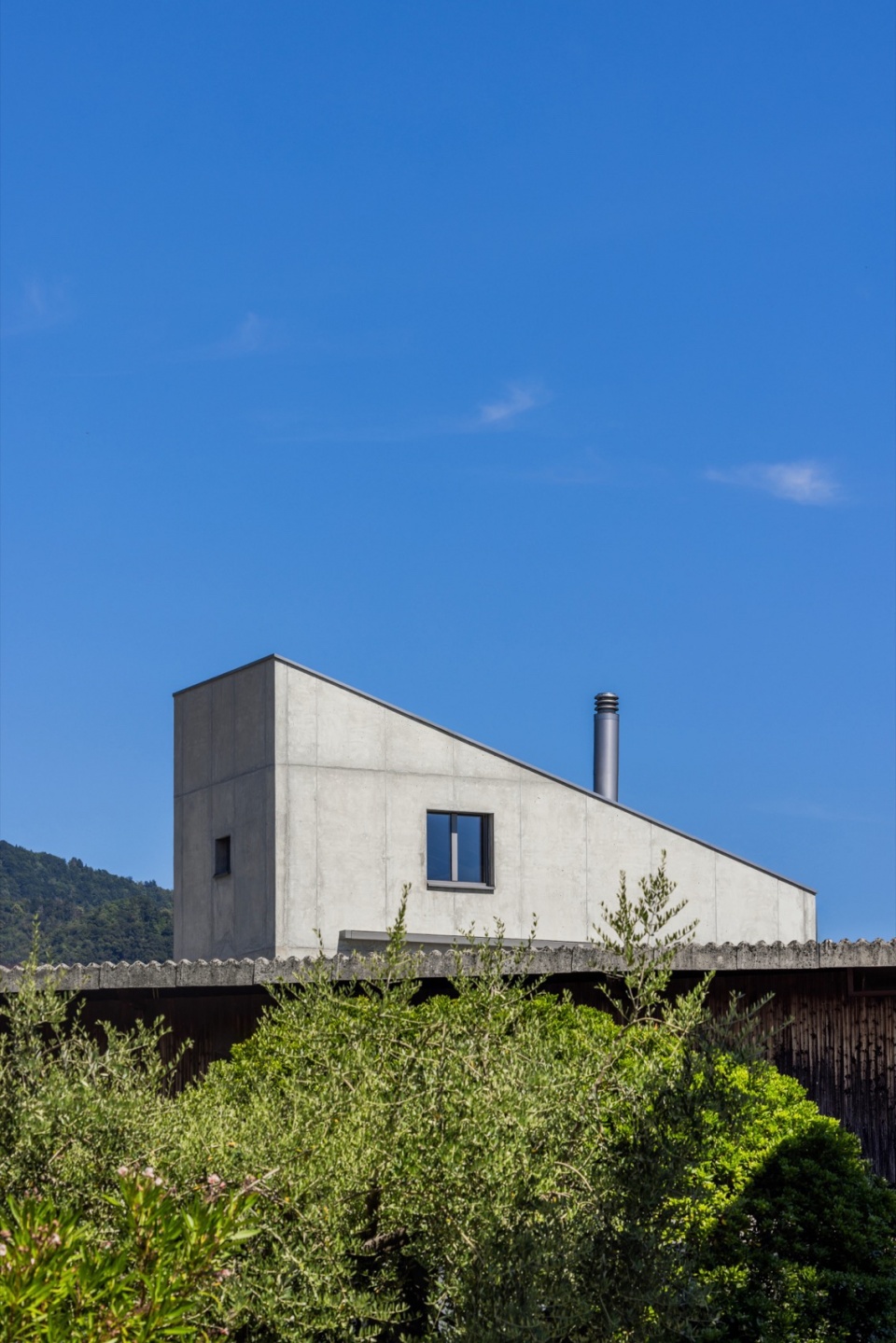 SWISSHOUSE XL in Coldrerio Davide Macullo Architects