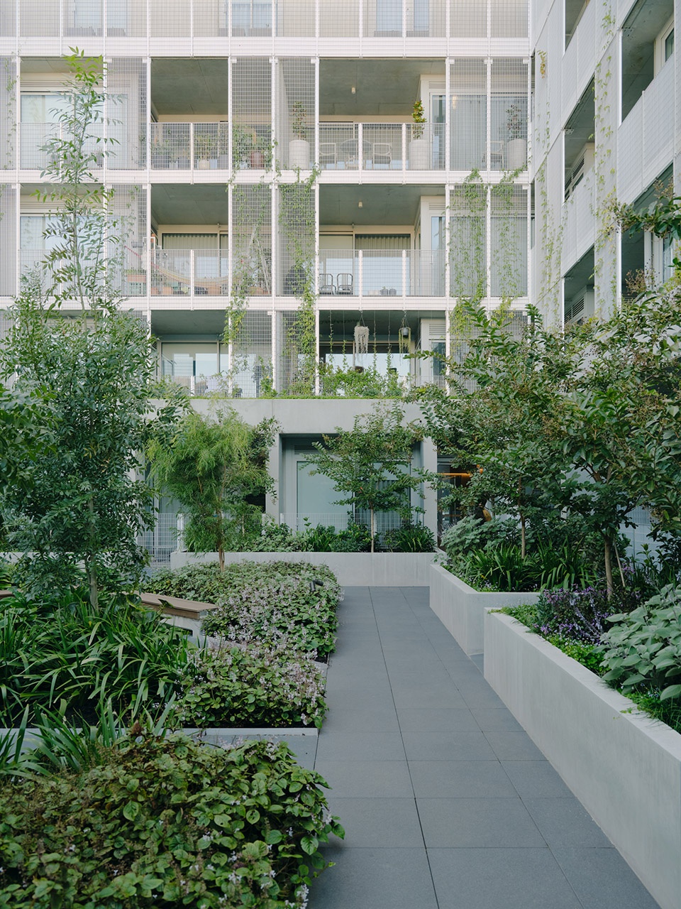 brunswick yard by carr