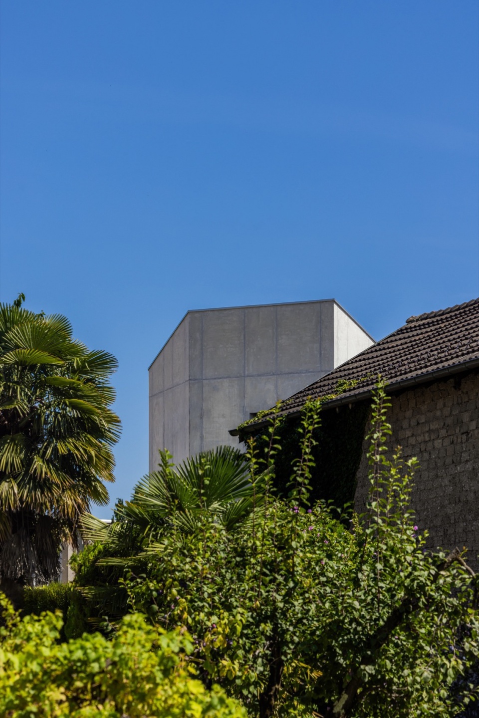 SWISSHOUSE XL in Coldrerio Davide Macullo Architects