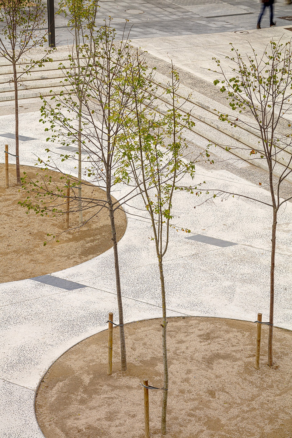 el firal dolot boulevard by anna eugeni bach