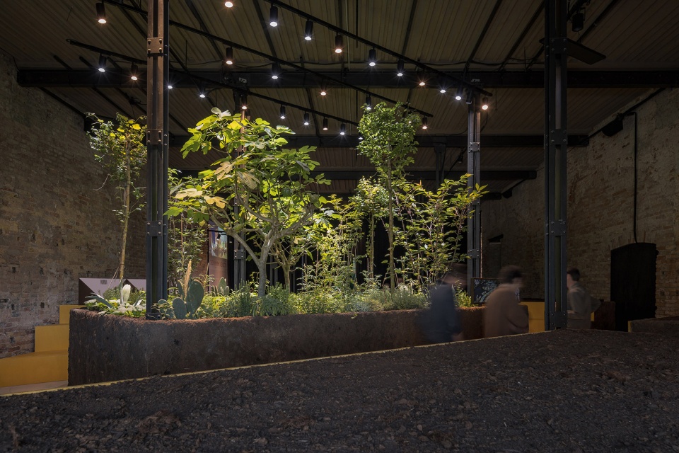 regenerative architecture chinampa veneta at the venice biennale by estudio ignacio urquiza y ana paula de alba