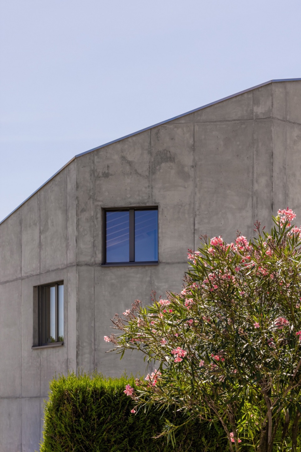 SWISSHOUSE XL in Coldrerio Davide Macullo Architects