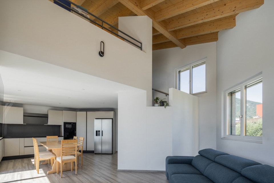 SWISSHOUSE XL in Coldrerio Davide Macullo Architects