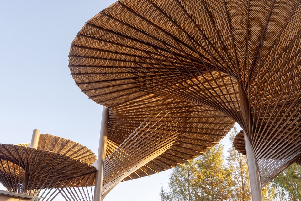 qingshan school by momentum