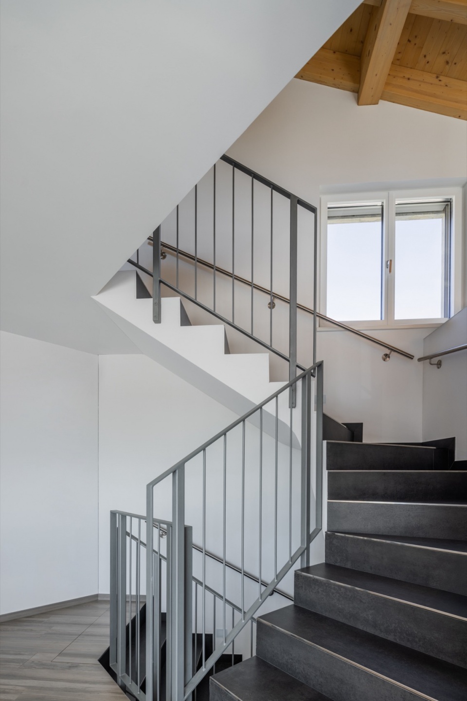 SWISSHOUSE XL in Coldrerio Davide Macullo Architects