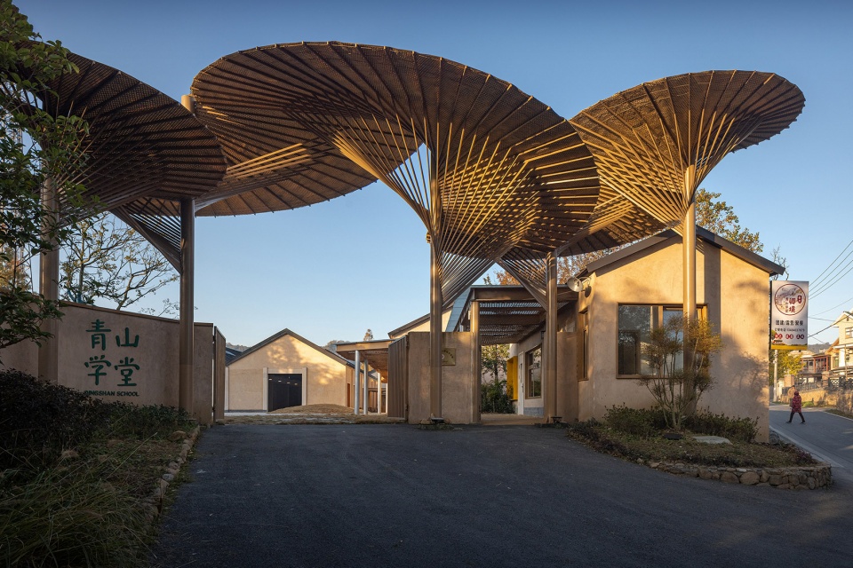 qingshan school by momentum
