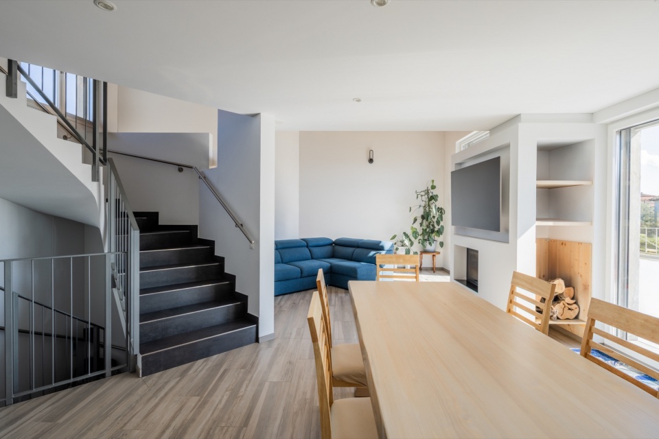 SWISSHOUSE XL in Coldrerio Davide Macullo Architects