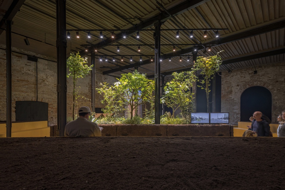 regenerative architecture chinampa veneta at the venice biennale by estudio ignacio urquiza y ana paula de alba