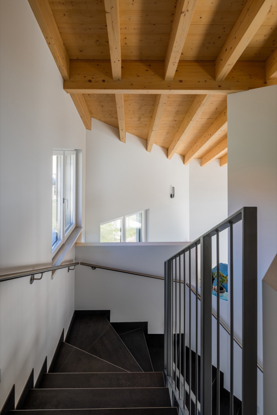 SWISSHOUSE XL in Coldrerio Davide Macullo Architects