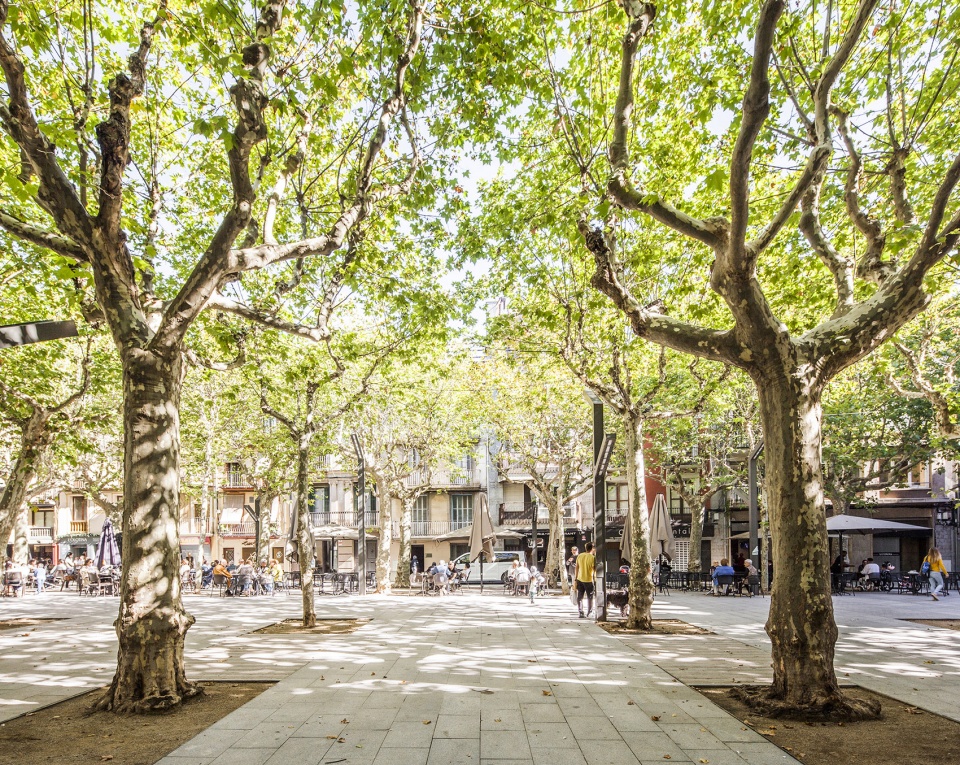 el firal dolot boulevard by anna eugeni bach