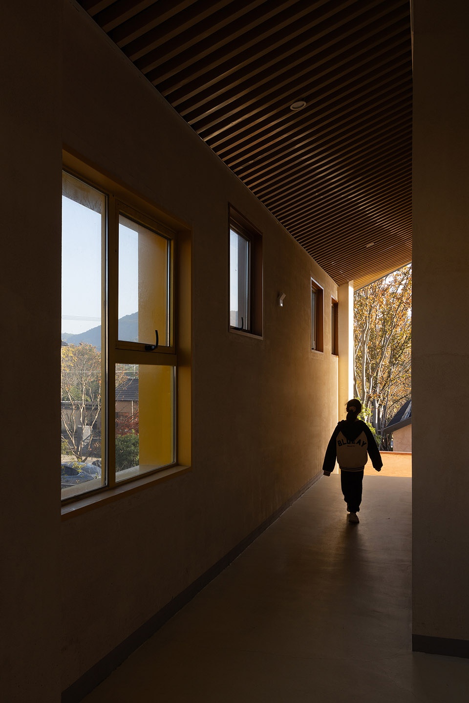 qingshan school by momentum