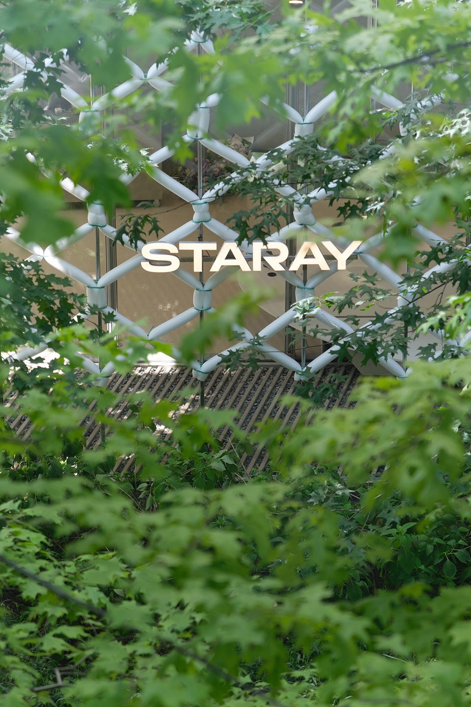 step by step staray by funnunit design