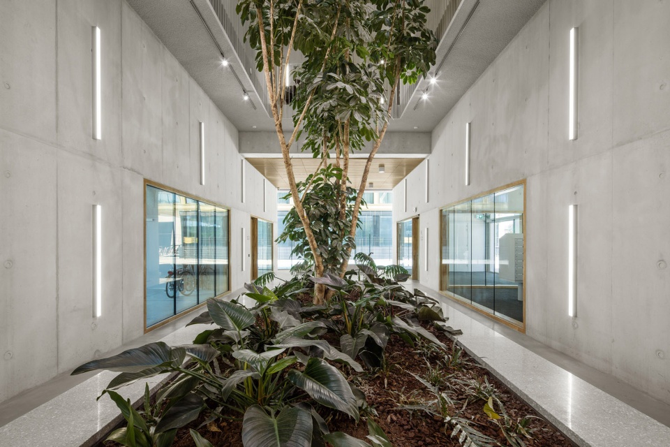 social housing complex de vrijheid amsterdam by atelier kempe thill architects and planners