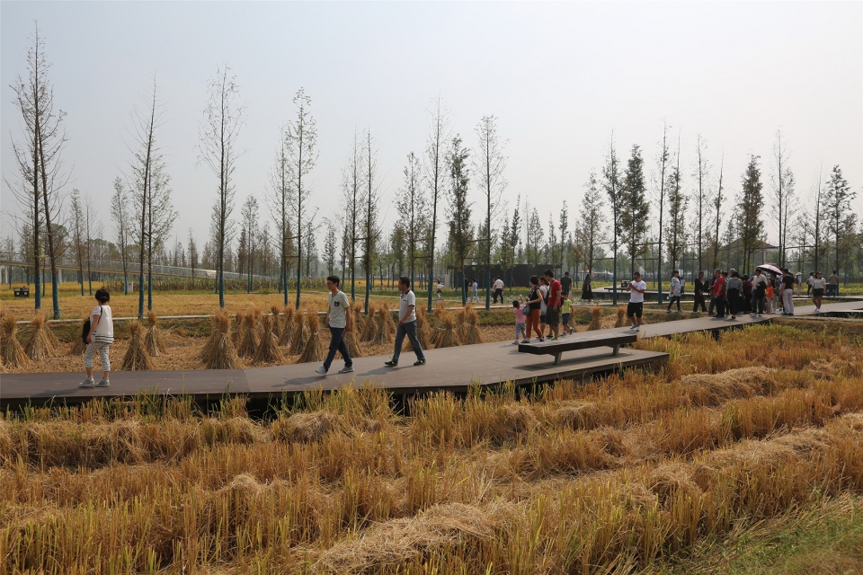 Chengtoushan Turen