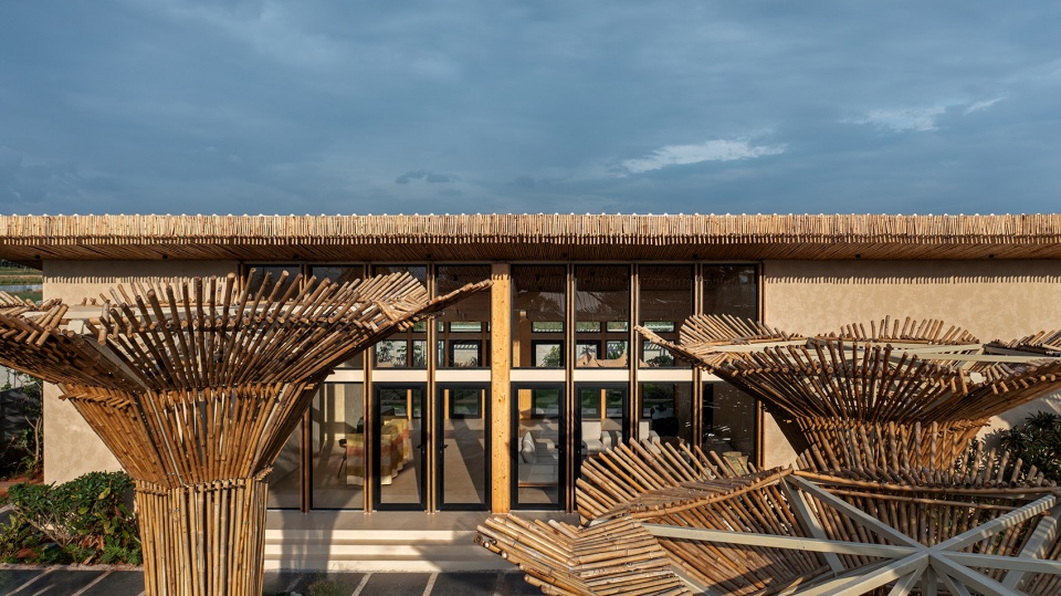 elements of nature by source architecture