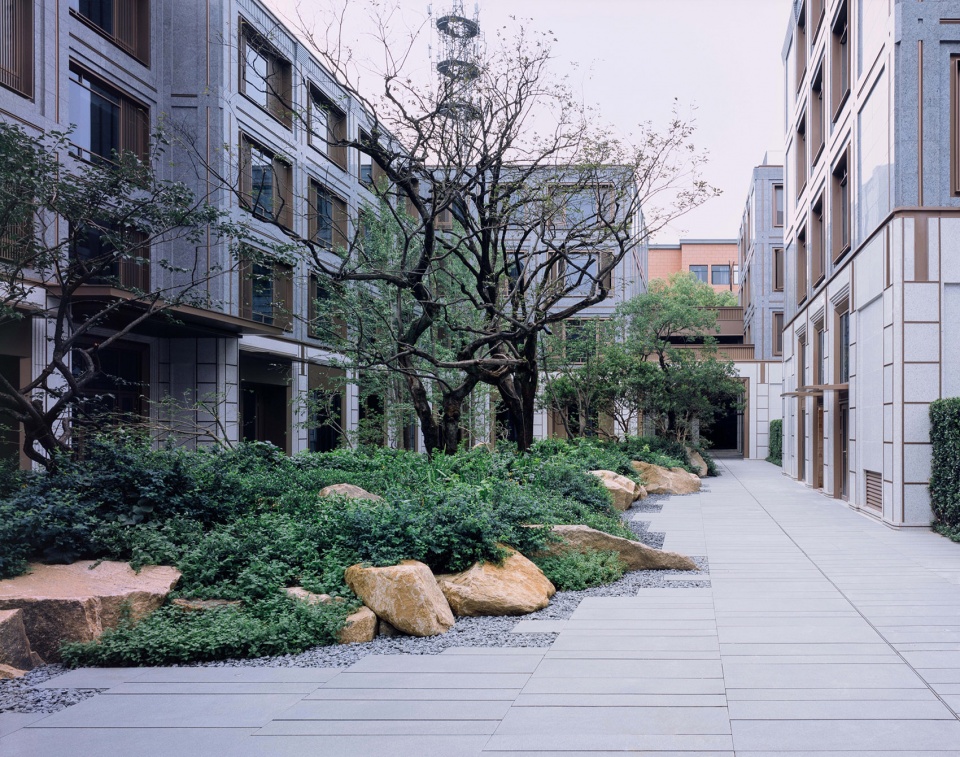 qinglu by july partners