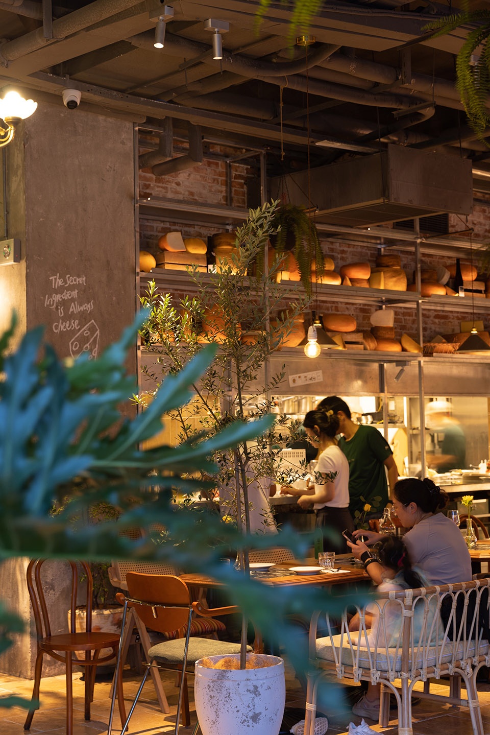 mozzarella e vino bund source store by pure design