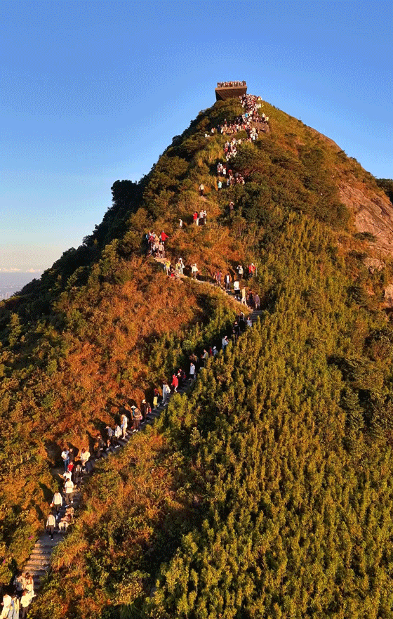 the meishajian viewing platform by line plus