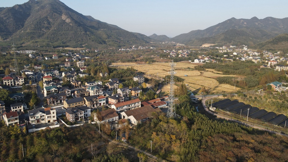 qingshan school by momentum