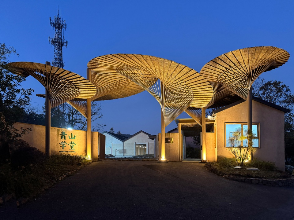 qingshan school by momentum