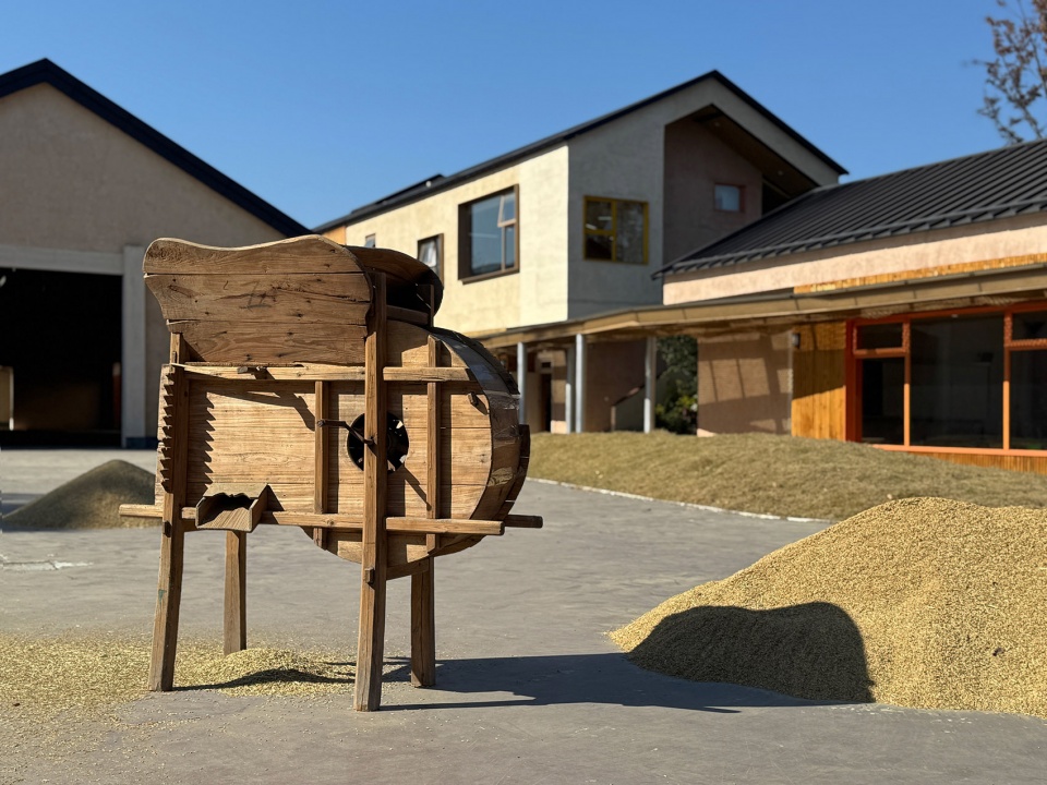 qingshan school by momentum