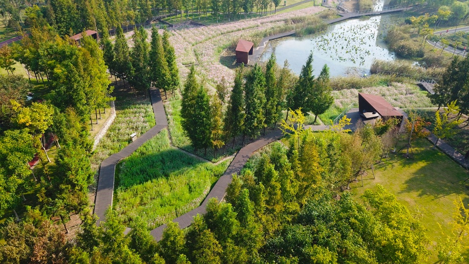 Ningbo Eastern New Town Ecological Corridor Phase III by Turenscape