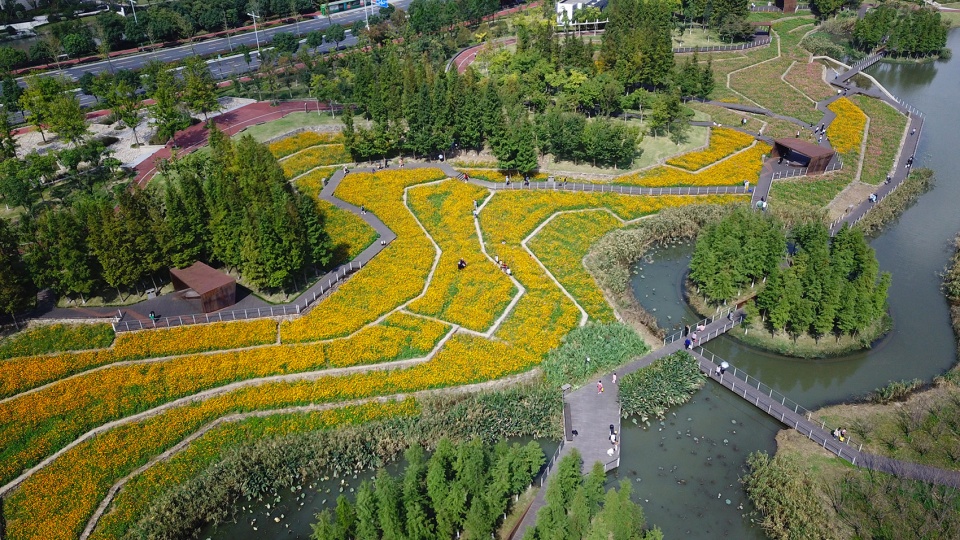 Ningbo Eastern New Town Ecological Corridor Phase III by Turenscape