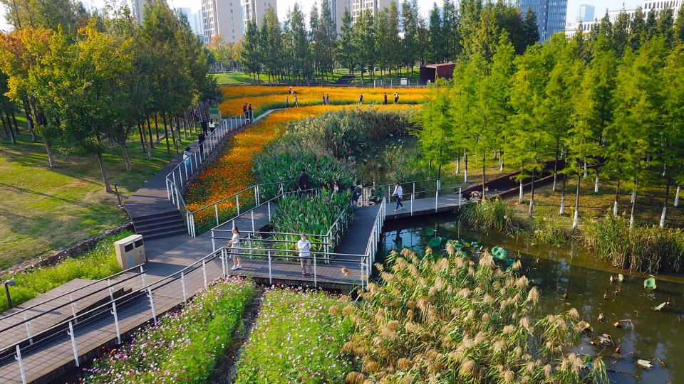 Ningbo Eastern New Town Ecological Corridor Phase III by Turenscape