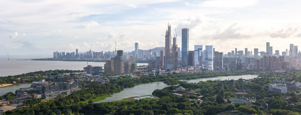Digital China