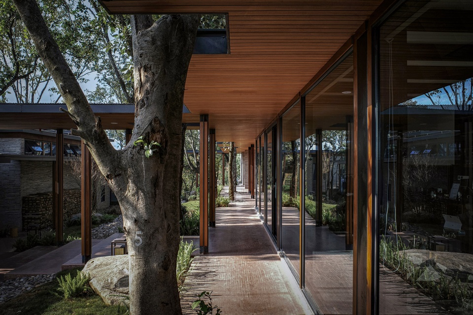 chu orange manor living center by suzao architecture