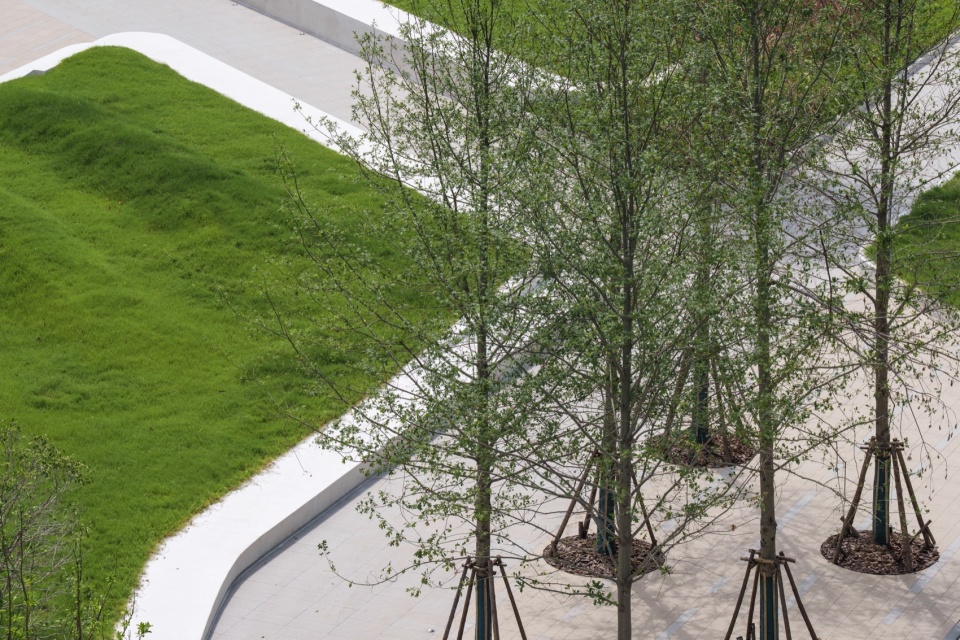 Landscape Design for Changzhou STA R D Park