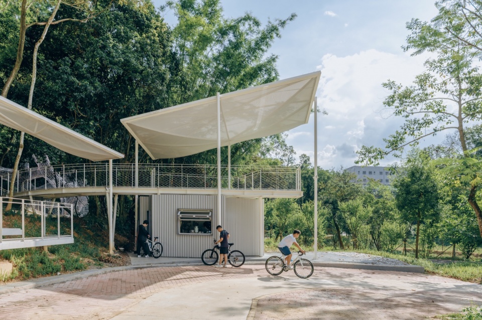 Floating Canopy Grove