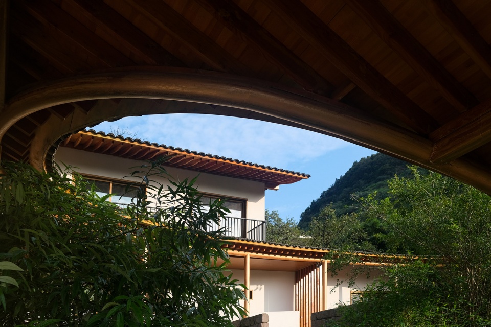 buzzy sunny luzhou by archermit
