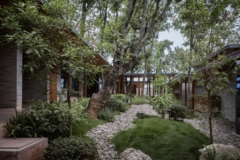 chu orange manor living center by suzao architecture