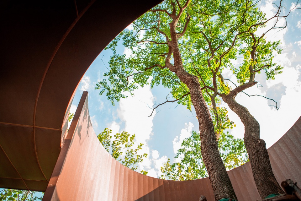 UNDER TREE by ZAD