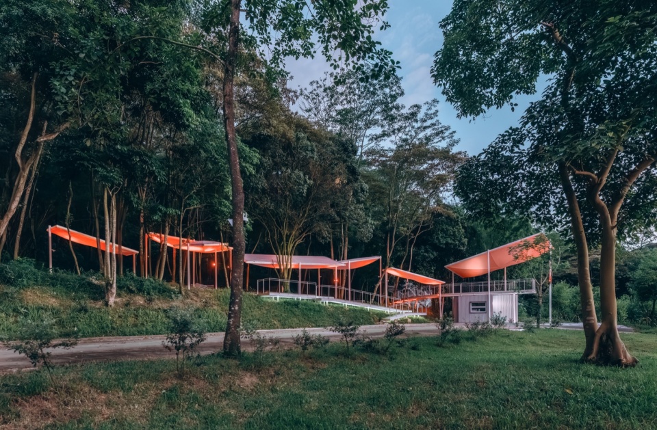 Floating Canopy Grove
