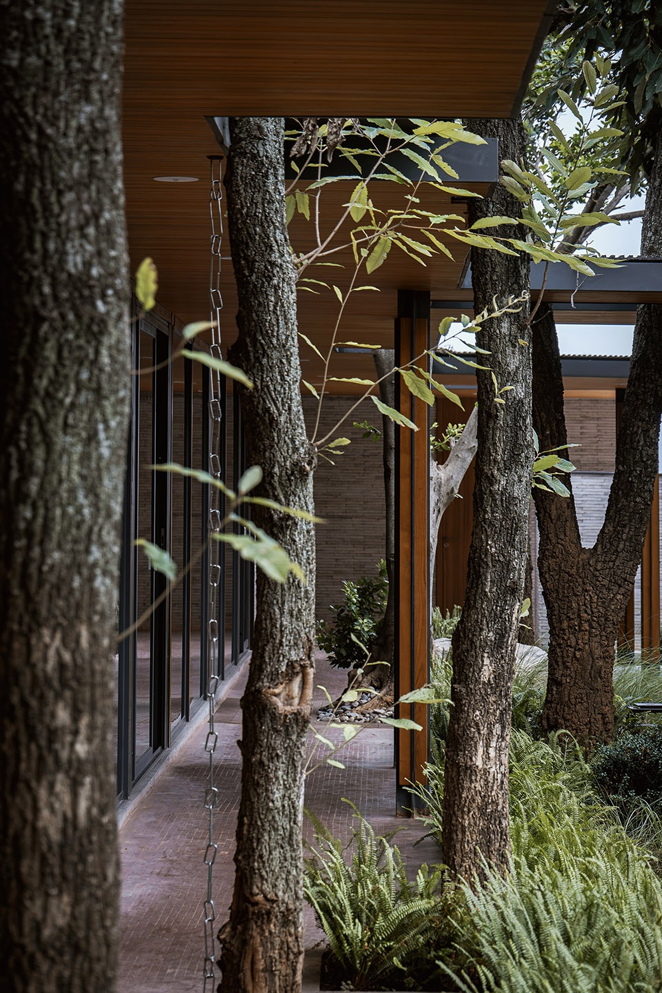 chu orange manor living center by suzao architecture