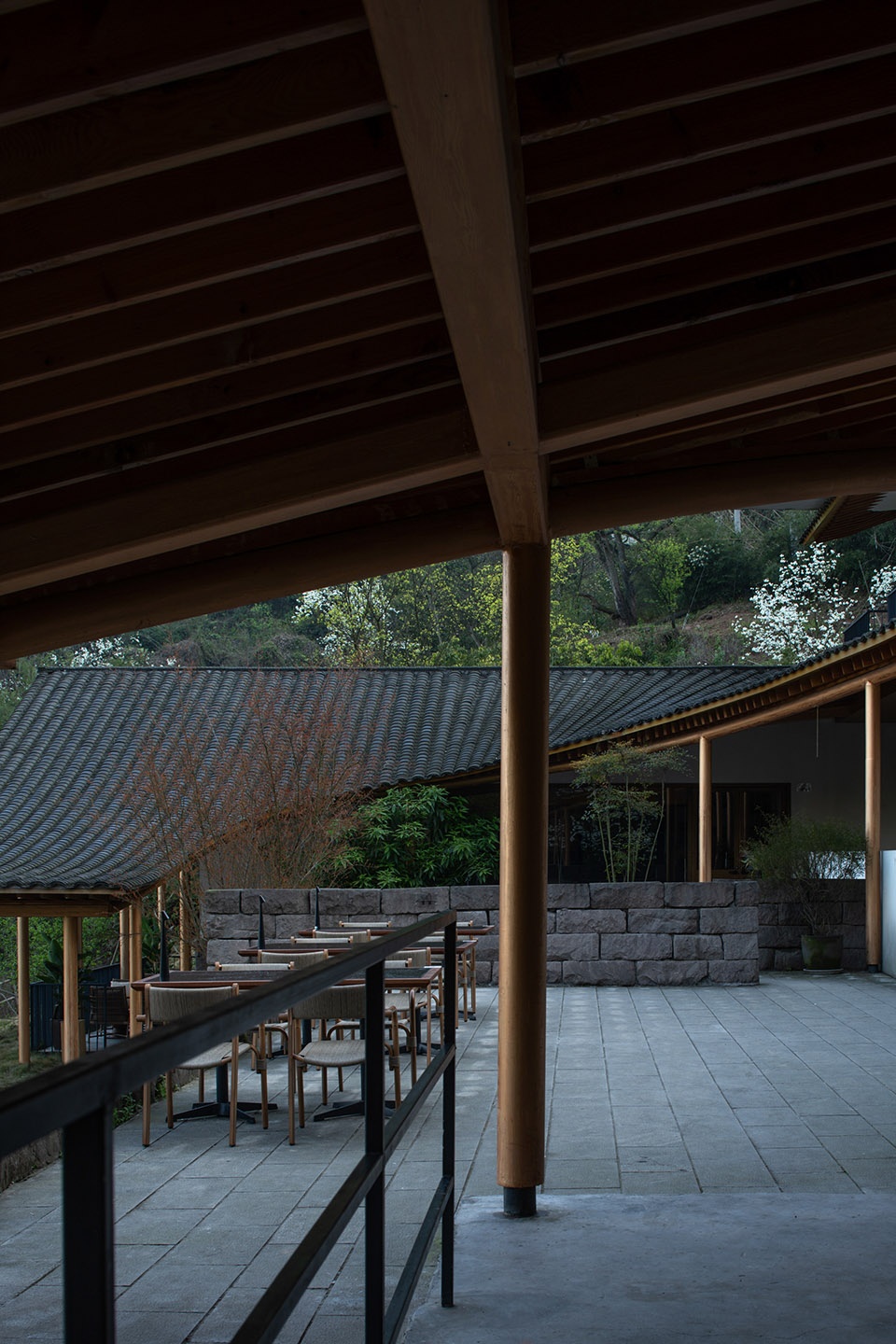buzzy sunny luzhou by archermit